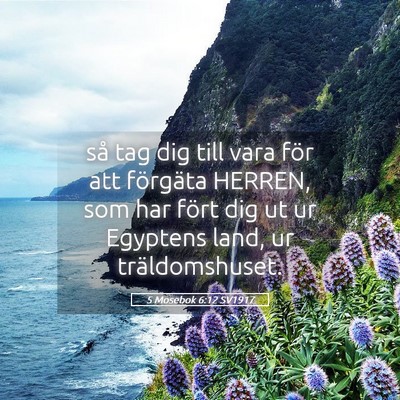Picture 05 - 5 Mosebok 6:12 SV1917 - så tag dig till vara för att förgäta HERREN, - Bible Verse Picture