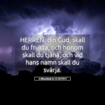 Picture 05 - 5 Mosebok 6:13 SV1917 - HERREN, din Gud, skall du frukta, och honom skall - Bible Verse Picture