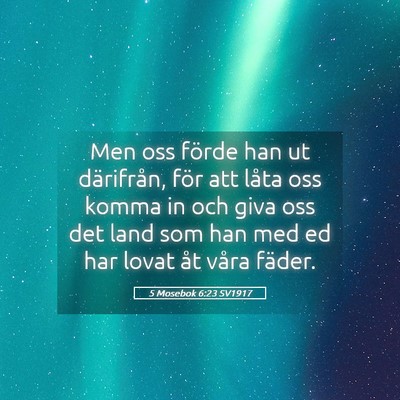 Picture 05 - 5 Mosebok 6:23 SV1917 - Men oss förde han ut därifrån, för att låta - Bible Verse Picture