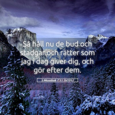 Picture 05 - 5 Mosebok 7:11 SV1917 - Så håll nu de bud och stadgar och rätter som - Bible Verse Picture
