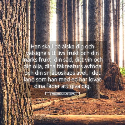 Picture 05 - 5 Mosebok 7:13 SV1917 - Han skall då älska dig och välsigna sitt livs - Bible Verse Picture
