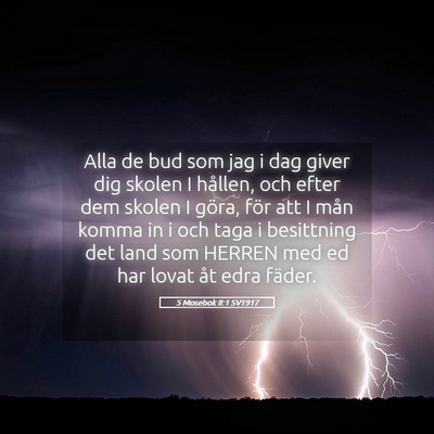 Picture 05 - 5 Mosebok 8:1 SV1917 - Alla de bud som jag i dag giver dig skolen I - Bible Verse Picture