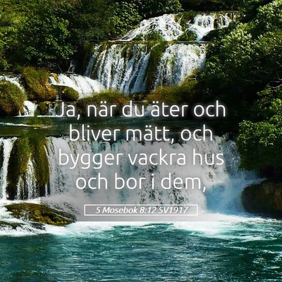 Picture 05 - 5 Mosebok 8:12 SV1917 - Ja, när du äter och bliver mätt, och bygger - Bible Verse Picture