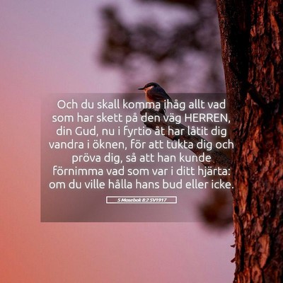 Picture 05 - 5 Mosebok 8:2 SV1917 - Och du skall komma ihåg allt vad som har skett - Bible Verse Picture