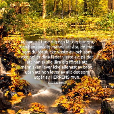 Picture 05 - 5 Mosebok 8:3 SV1917 - Ja, han tuktade dig och lät dig hungra, och han - Bible Verse Picture