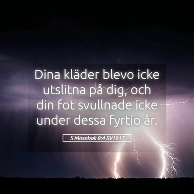 Picture 05 - 5 Mosebok 8:4 SV1917 - Dina kläder blevo icke utslitna på dig, och din - Bible Verse Picture