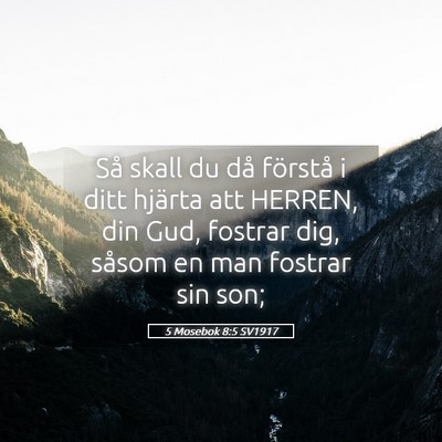 Picture 05 - 5 Mosebok 8:5 SV1917 - Så skall du då förstå i ditt hjärta att - Bible Verse Picture