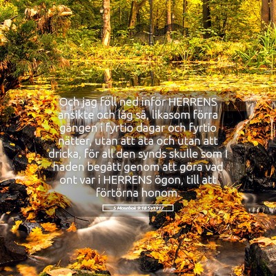 Picture 05 - 5 Mosebok 9:18 SV1917 - Och jag föll ned inför HERRENS ansikte och låg - Bible Verse Picture