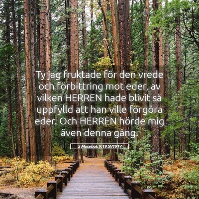 Picture 05 - 5 Mosebok 9:19 SV1917 - Ty jag fruktade för den vrede och förbittring - Bible Verse Picture