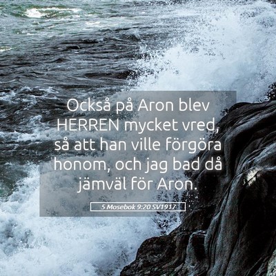 Picture 05 - 5 Mosebok 9:20 SV1917 - Också på Aron blev HERREN mycket vred, så att - Bible Verse Picture