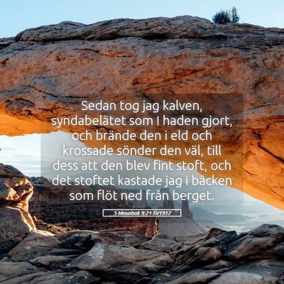 Picture 05 - 5 Mosebok 9:21 SV1917 - Sedan tog jag kalven, syndabelätet som I haden - Bible Verse Picture