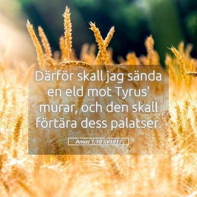 Picture 05 - Amos 1:10 SV1917 - Därför skall jag sända en eld mot Tyrus' - Bible Verse Picture