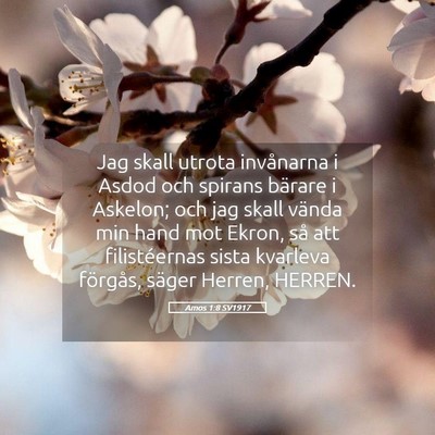 Picture 05 - Amos 1:8 SV1917 - Jag skall utrota invånarna i Asdod och spirans - Bible Verse Picture