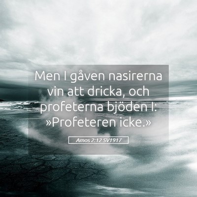 Picture 05 - Amos 2:12 SV1917 - Men I gåven nasirerna vin att dricka, och - Bible Verse Picture