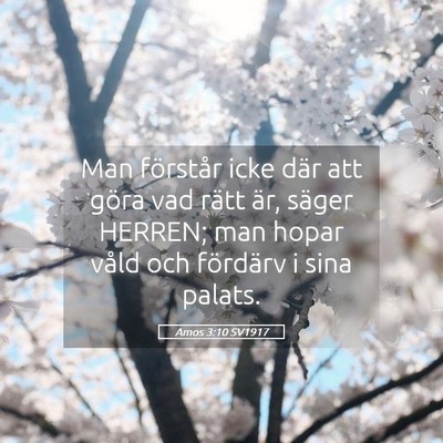 Picture 05 - Amos 3:10 SV1917 - Man förstår icke där att göra vad rätt är, - Bible Verse Picture