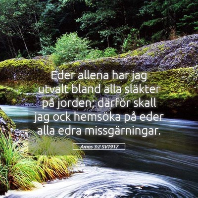 Picture 05 - Amos 3:2 SV1917 - Eder allena har jag utvalt bland alla släkter - Bible Verse Picture