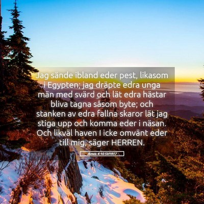 Picture 05 - Amos 4:10 SV1917 - Jag sände ibland eder pest, likasom i Egypten; - Bible Verse Picture