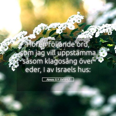Picture 05 - Amos 5:1 SV1917 - Hören följande ord, som jag vill uppstämma - Bible Verse Picture