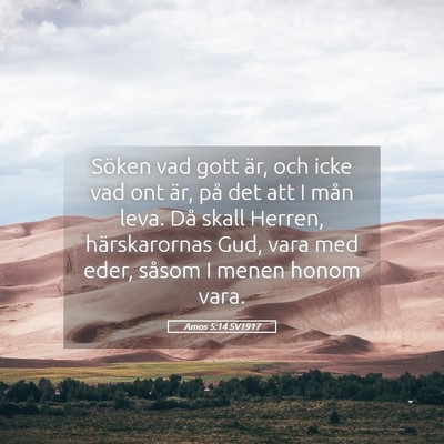 Picture 05 - Amos 5:14 SV1917 - Söken vad gott är, och icke vad ont är, på - Bible Verse Picture