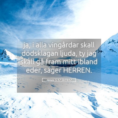 Picture 05 - Amos 5:17 SV1917 - ja, i alla vingårdar skall dödsklagan ljuda, ty - Bible Verse Picture