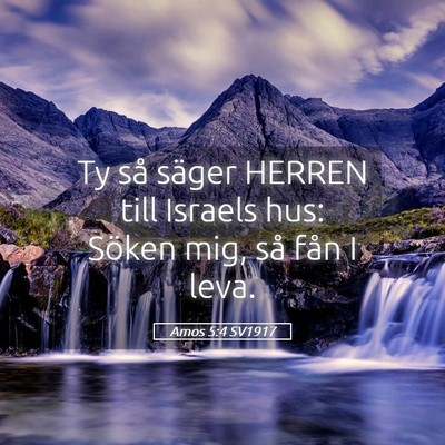 Picture 05 - Amos 5:4 SV1917 - Ty så säger HERREN till Israels hus: Söken - Bible Verse Picture