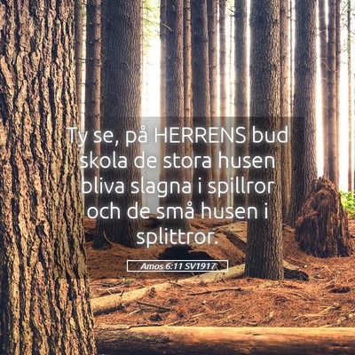Picture 05 - Amos 6:11 SV1917 - Ty se, på HERRENS bud skola de stora husen bliva - Bible Verse Picture