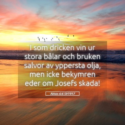 Picture 05 - Amos 6:6 SV1917 - I som dricken vin ur stora bålar och bruken - Bible Verse Picture