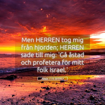 Picture 05 - Amos 7:15 SV1917 - Men HERREN tog mig från hjorden; HERREN sade - Bible Verse Picture