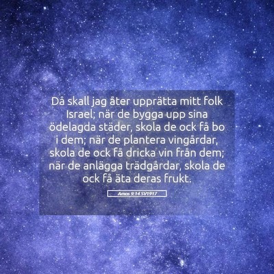 Picture 05 - Amos 9:14 SV1917 - Då skall jag åter upprätta mitt folk Israel; - Bible Verse Picture