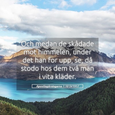 Picture 05 - Apostlagärningarna 1:10 SV1917 - Och medan de skådade mot himmelen, under det han - Bible Verse Picture