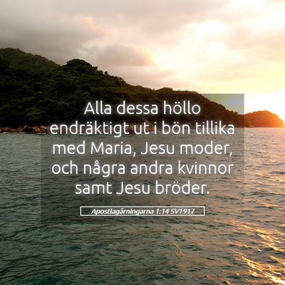 Picture 05 - Apostlagärningarna 1:14 SV1917 - Alla dessa höllo endräktigt ut i bön tillika - Bible Verse Picture