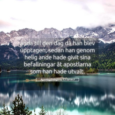 Picture 05 - Apostlagärningarna 1:2 SV1917 - ända till den dag då han blev upptagen, sedan - Bible Verse Picture
