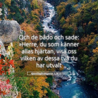 Picture 05 - Apostlagärningarna 1:24 SV1917 - Och de bådo och sade: »Herre, du som känner - Bible Verse Picture