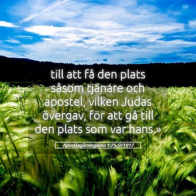 Picture 05 - Apostlagärningarna 1:25 SV1917 - till att få den plats såsom tjänare och - Bible Verse Picture