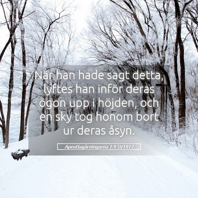 Picture 05 - Apostlagärningarna 1:9 SV1917 - När han hade sagt detta, lyftes han inför deras - Bible Verse Picture