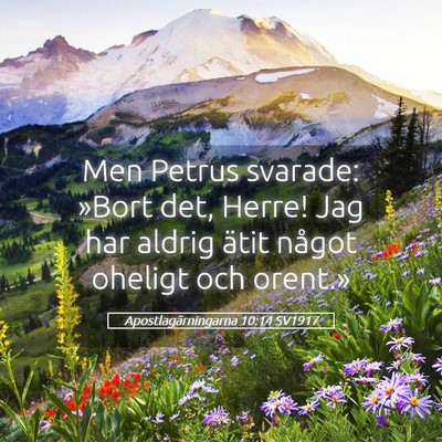 Picture 05 - Apostlagärningarna 10:14 SV1917 - Men Petrus svarade: »Bort det, Herre! Jag har - Bible Verse Picture