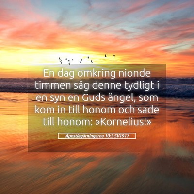 Picture 05 - Apostlagärningarna 10:3 SV1917 - En dag omkring nionde timmen såg denne tydligt i - Bible Verse Picture