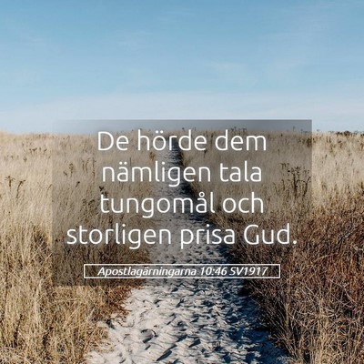 Picture 05 - Apostlagärningarna 10:46 SV1917 - De hörde dem nämligen tala tungomål och - Bible Verse Picture