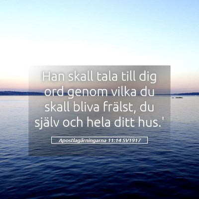 Picture 05 - Apostlagärningarna 11:14 SV1917 - Han skall tala till dig ord genom vilka du skall - Bible Verse Picture