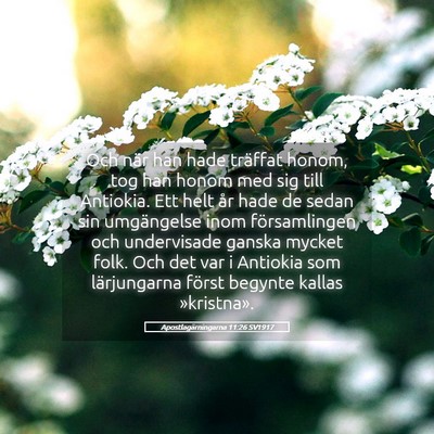 Picture 05 - Apostlagärningarna 11:26 SV1917 - Och när han hade träffat honom, tog han honom - Bible Verse Picture