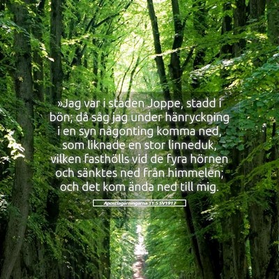 Picture 05 - Apostlagärningarna 11:5 SV1917 - »Jag var i staden Joppe, stadd i bön; då såg - Bible Verse Picture