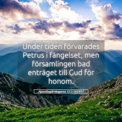 Picture 05 - Apostlagärningarna 12:5 SV1917 - Under tiden förvarades Petrus i fängelset, men - Bible Verse Picture