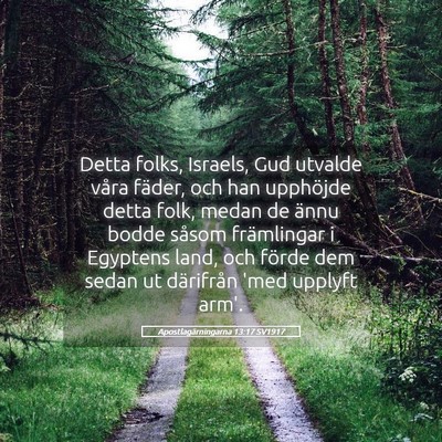 Picture 05 - Apostlagärningarna 13:17 SV1917 - Detta folks, Israels, Gud utvalde våra fäder, - Bible Verse Picture