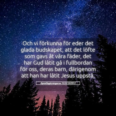 Picture 05 - Apostlagärningarna 13:32 SV1917 - Och vi förkunna för eder det glada budskapet, - Bible Verse Picture