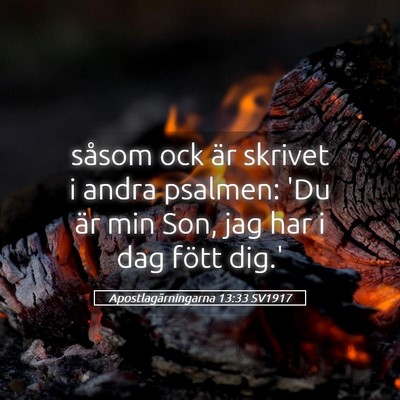 Picture 05 - Apostlagärningarna 13:33 SV1917 - såsom ock är skrivet i andra psalmen: 'Du är - Bible Verse Picture