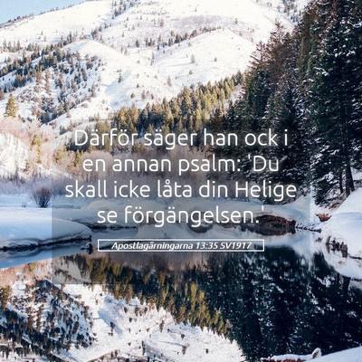 Picture 05 - Apostlagärningarna 13:35 SV1917 - Därför säger han ock i en annan psalm: 'Du - Bible Verse Picture
