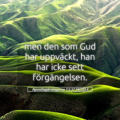 Picture 05 - Apostlagärningarna 13:37 SV1917 - men den som Gud har uppväckt, han har icke sett - Bible Verse Picture