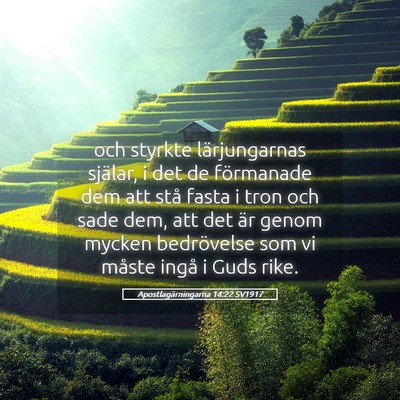 Picture 05 - Apostlagärningarna 14:22 SV1917 - och styrkte lärjungarnas själar, i det de - Bible Verse Picture