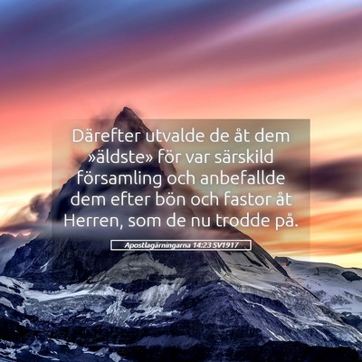 Picture 05 - Apostlagärningarna 14:23 SV1917 - Därefter utvalde de åt dem »äldste» för var - Bible Verse Picture