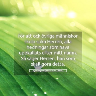 Picture 05 - Apostlagärningarna 15:17 SV1917 - för att ock övriga människor skola söka - Bible Verse Picture